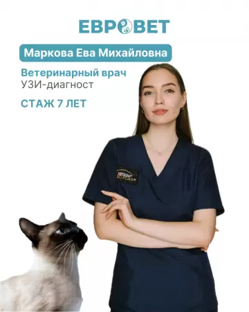 Маркова Ева Михайловна