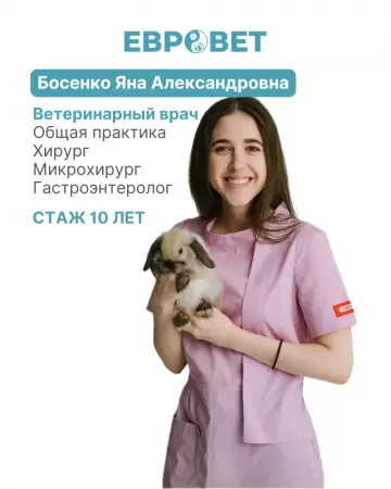 Босенко Яна Александровна