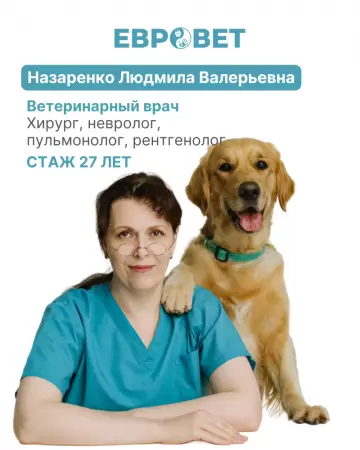 Назаренко Людмила Валерьевна